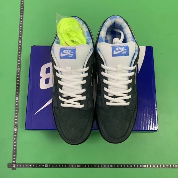 BF Batch  Nike Dunk Low Pro OG  -5